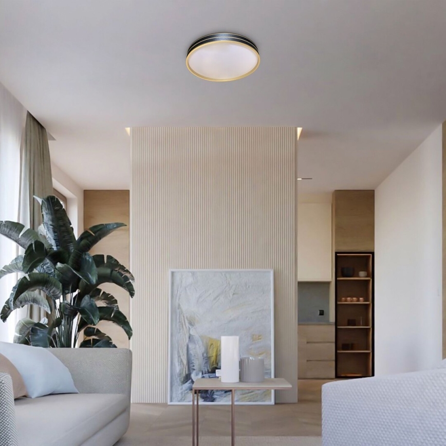 Rabalux - Dimmable LED ceiling light LED/24W/230V 3000-6500K Ø 39 cm + remote control