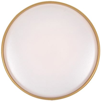 Rabalux - Dimmable LED ceiling light LED/24W/230V 3000-6500K Ø 39 cm + remote control