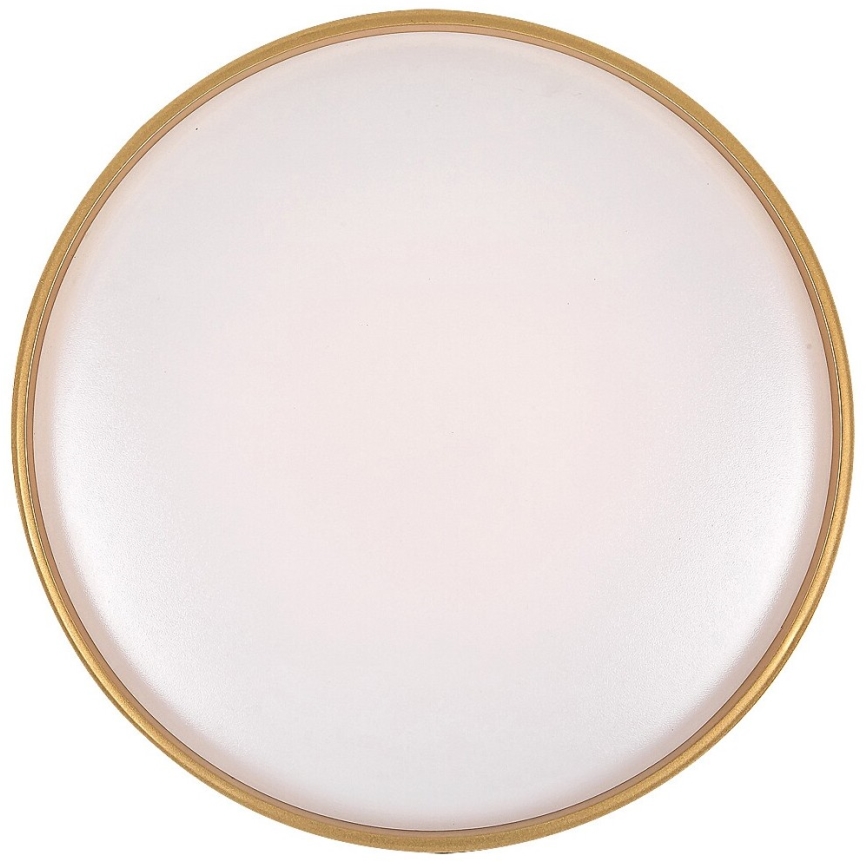 Rabalux - Dimmable LED ceiling light LED/24W/230V 3000-6500K Ø 39 cm + remote control