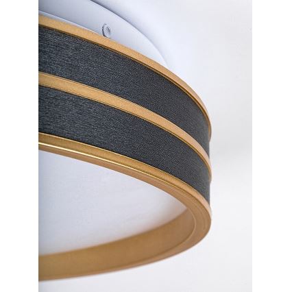 Rabalux - Dimmable LED ceiling light LED/24W/230V 3000-6500K Ø 39 cm + remote control