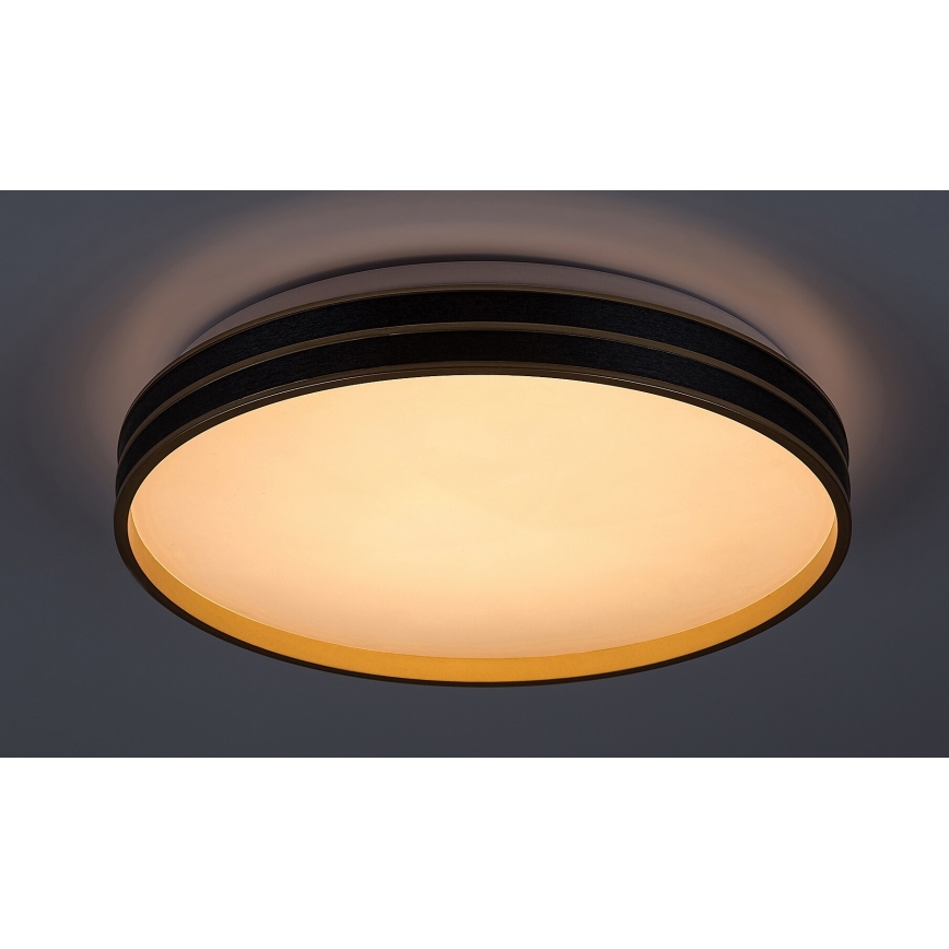 Rabalux - LED Dimmable ceiling light LED/24W/230V 3000-6500K + remote control