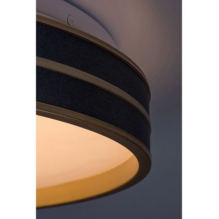 Rabalux - LED Dimmable ceiling light LED/24W/230V 3000-6500K + remote control