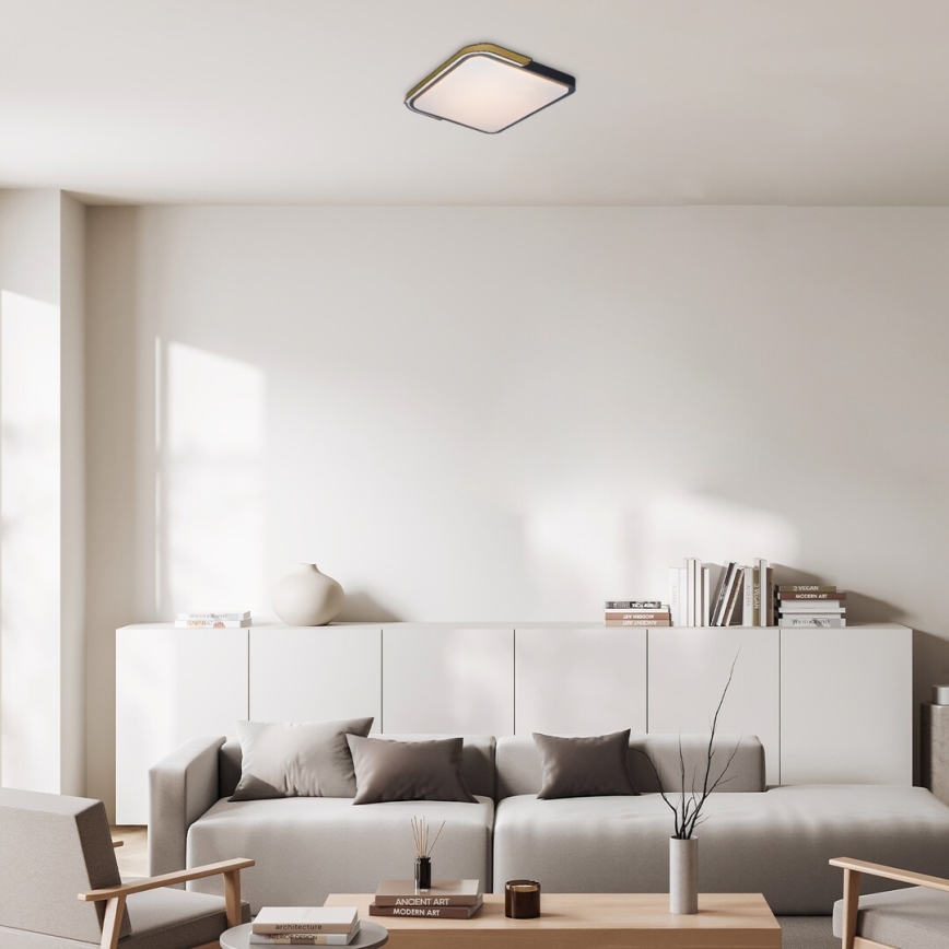 Rabalux - LED RGB Dimmable ceiling light LED/48W/230V 3000K/4000K/6500K Wi-Fi Tuya + remote control