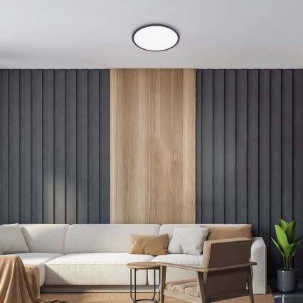 Rabalux - LED Dimmable ceiling light LED/22W/230V 3000K 42 cm