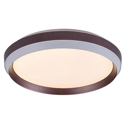 Rabalux - LED Ceiling light LED/24W/230V 3000K