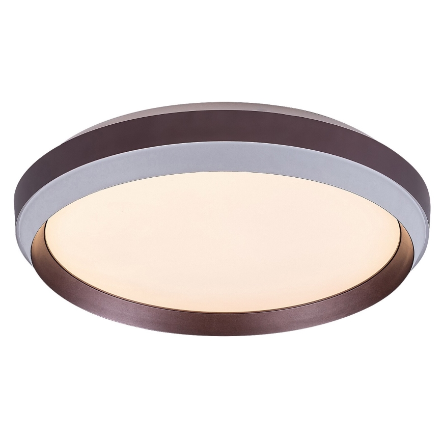 Rabalux - LED Ceiling light LED/24W/230V 3000K