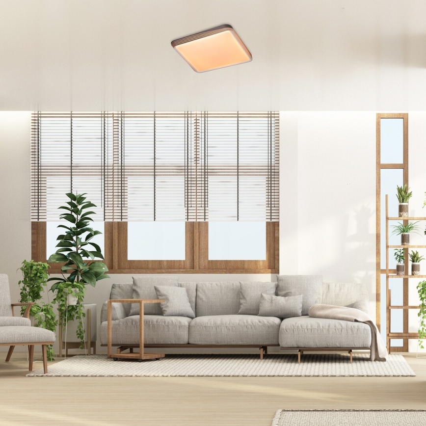 Rabalux - LED Ceiling light LED/40W/230V 3000K