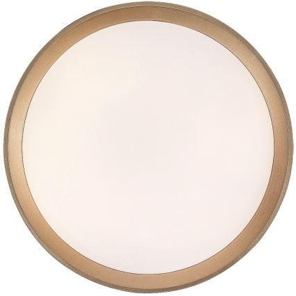 Rabalux - LED Ceiling light LED/25W/230V 3000K d. 38 cm