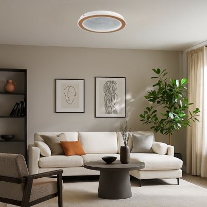 Rabalux - LED Dimmable Ceiling Light LED/24W/230V 3000-6500K Ø 40 cm + Remote Control