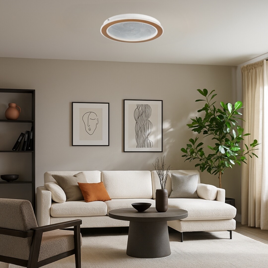 Rabalux - LED Dimmable ceiling light LED/24W/230V 3000–6500 K Ø 40 cm + remote control