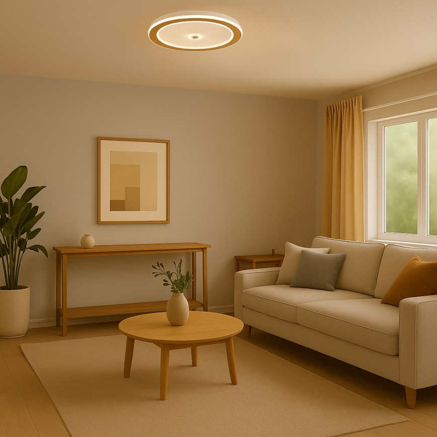 Rabalux - Dimmable LED Ceiling Light LED/34W/230V 3000-6500K Ø 51 cm + Remote Control