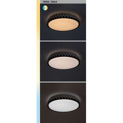 Rabalux - LED Dimmable ceiling light LED/48W/230V 3000-6500K + remote control