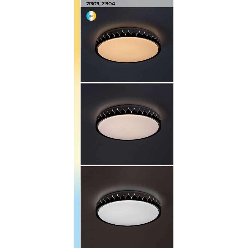 Rabalux - LED Dimmable ceiling light LED/48W/230V 3000-6500K + remote control