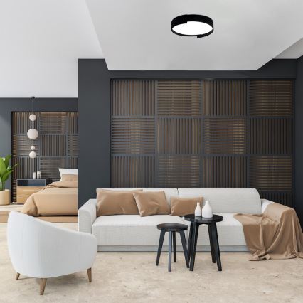 Rabalux - LED Dimmable ceiling light LED/24W/230V 3000-6500K + remote control