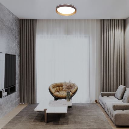 Rabalux - LED Dimmable ceiling light LED/48W/230V 3000-6500K + remote control