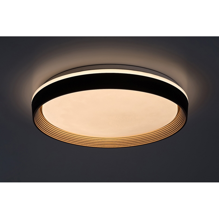 Rabalux - LED Dimmable ceiling light LED/48W/230V 3000-6500K + remote control
