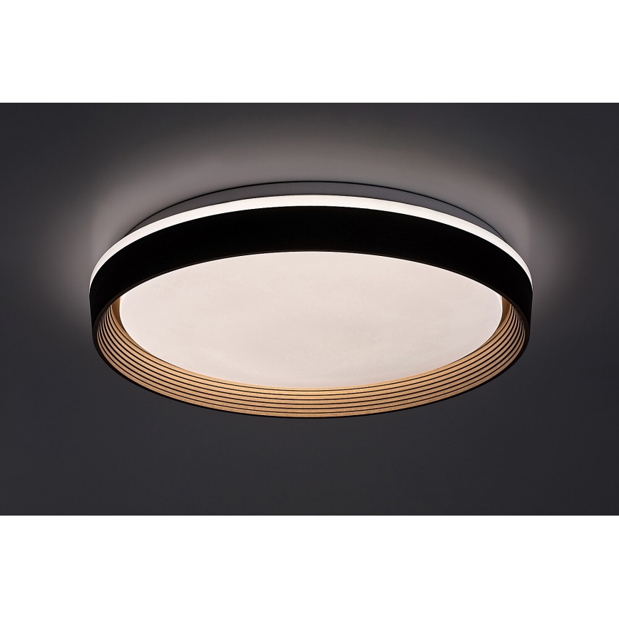 Rabalux - LED Dimmable ceiling light LED/48W/230V 3000-6500K + remote control