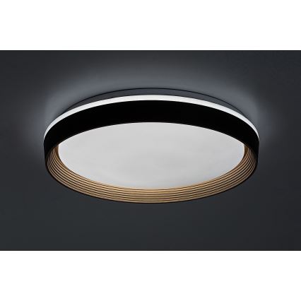 Rabalux - LED Dimmable ceiling light LED/48W/230V 3000-6500K + remote control