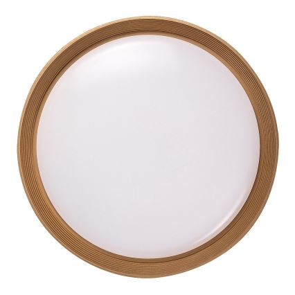 Rabalux - LED Dimmable ceiling light LED/48W/230V 3000-6500K + remote control