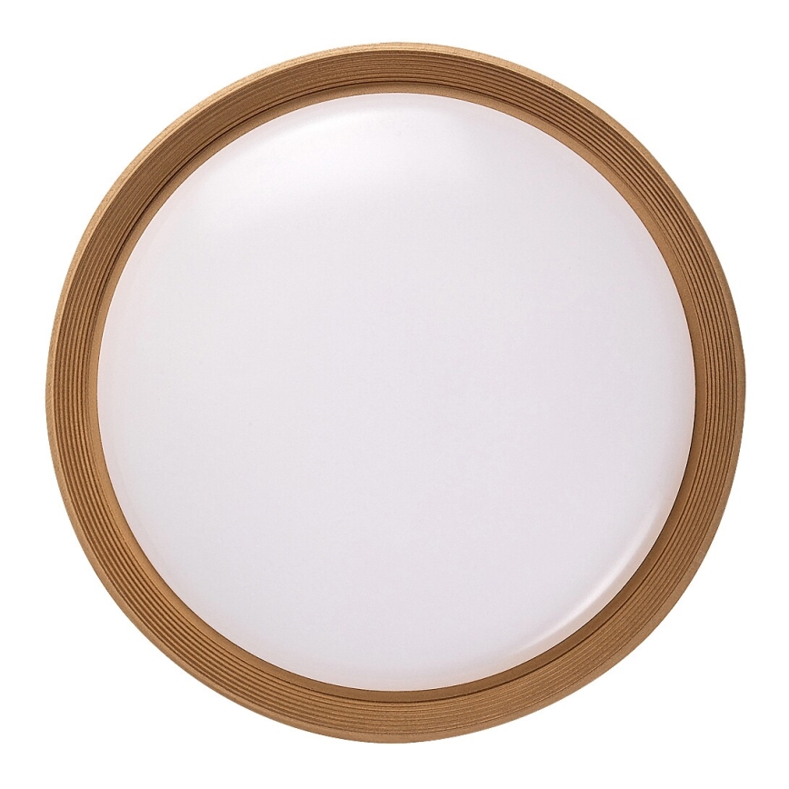 Rabalux - LED Dimmable ceiling light LED/48W/230V 3000-6500K + remote control