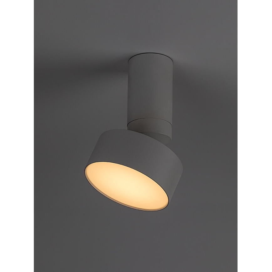 Rabalux - LED Ceiling light LED/10W/230V 3000K white