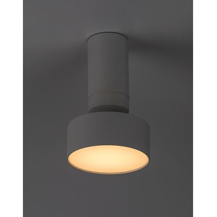 Rabalux - LED Ceiling light LED/10W/230V 3000K white