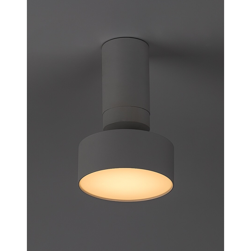 Rabalux - LED Ceiling light LED/10W/230V 3000K white