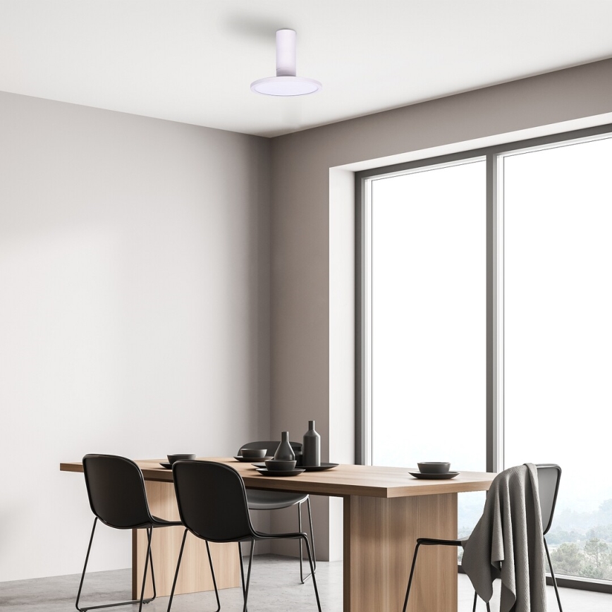 Rabalux - LED Ceiling Light LED/20W/230V 3000K White Ø 20 cm