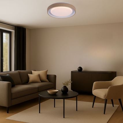 Rabalux - LED Dimmable Ceiling Light LED/48W/230V 3000–6500K Ø 49.5 cm + Remote Control