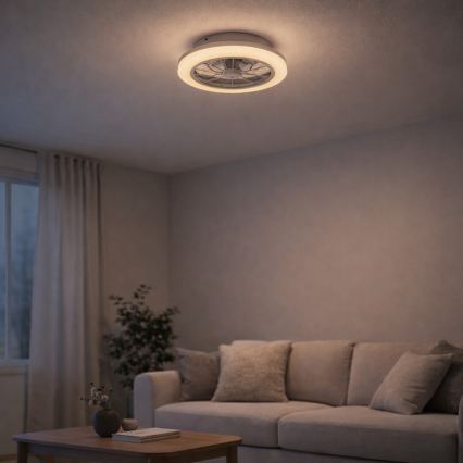 Rabalux - Dimmable LED Ceiling Light with Fan LED/24W/230V 3000-6500K + Remote Control