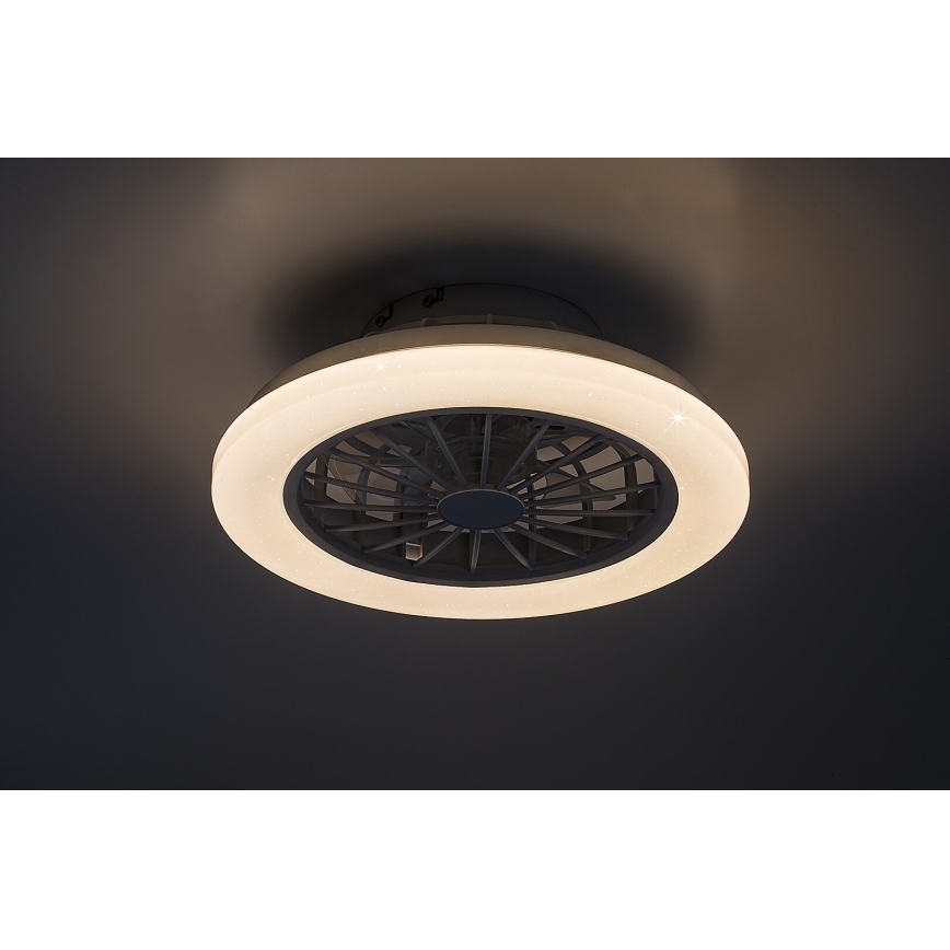 Rabalux - Dimmable LED Ceiling Light with Fan LED/24W/230V 3000-6500K + Remote Control