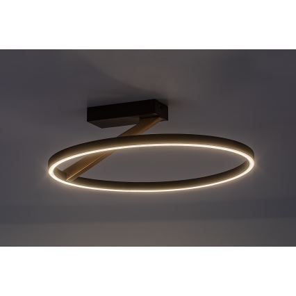 Rabalux - LED Ceiling Light LED/24W/230V 3000K Ø 45 cm