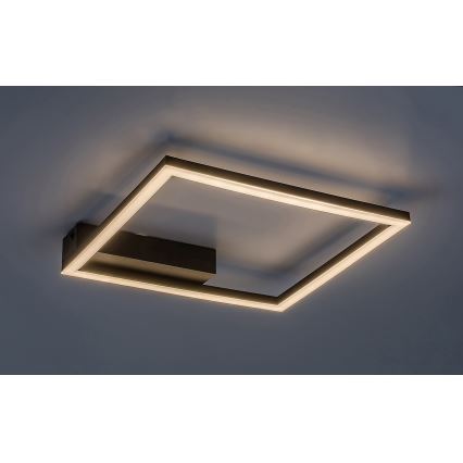 Rabalux - LED Ceiling light LED/24W/230V 3000K