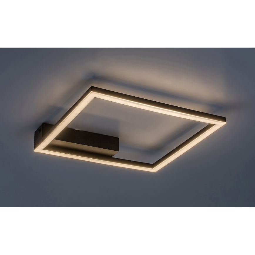Rabalux - LED Ceiling light LED/24W/230V 3000K