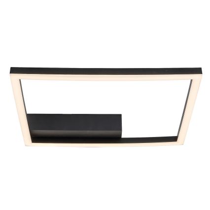 Rabalux - LED Ceiling light LED/24W/230V 3000K