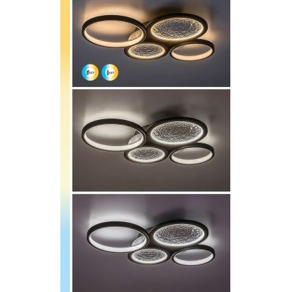 Rabalux - LED Dimmable ceiling light LED/40W/230V 3000-6500K + remote control