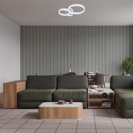 Rabalux - LED Ceiling Light, 24W, 230V, 3000/4000/6500 K, 38 x 51 cm, Matte Chrome