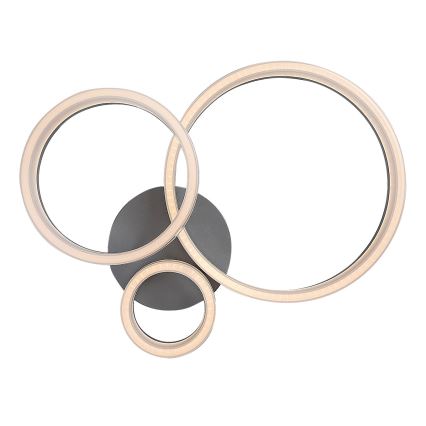 Rabalux - LED Ceiling Light, 24W, 230V, 3000/4000/6500 K, 38 x 51 cm, Matte Chrome