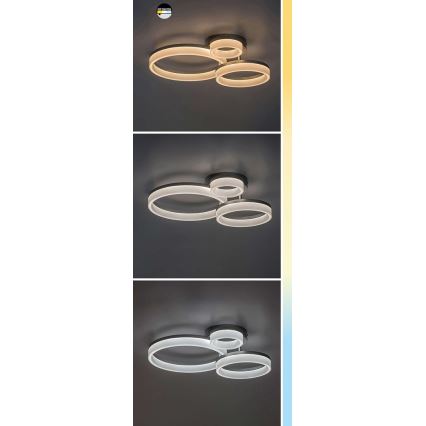 Rabalux - LED Ceiling Light LED/24W/230V 3000/4000/6500K 38x51 cm matte chrome