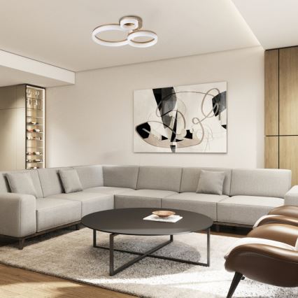 Rabalux - LED Ceiling light LED/24W/230V 3000/4000/6500K gold