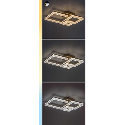 Rabalux - LED Ceiling light LED/22W/230V 3000/4000/6500K matte chrome 47x47 cm