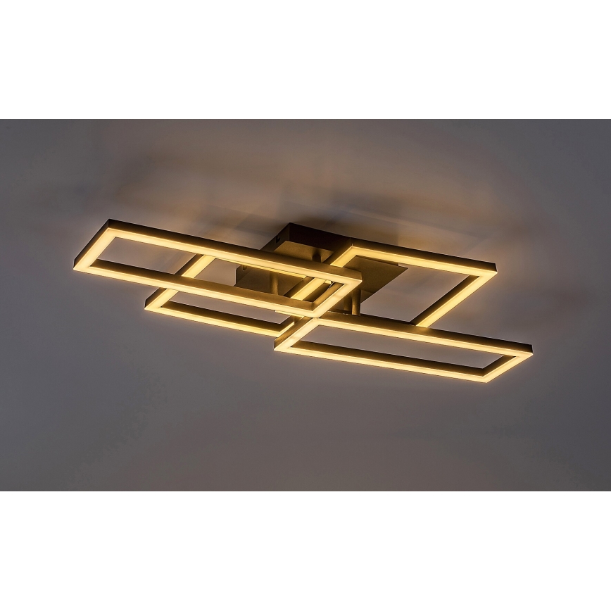 Rabalux - LED Dimmable ceiling light LED/40W/230V 3000-6500K + remote control