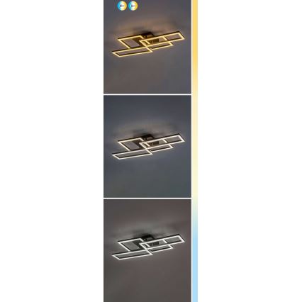 Rabalux - LED Dimmable ceiling light LED/40W/230V 3000-6500K + remote control