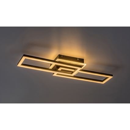 Rabalux - Dimmable LED ceiling light LED/30W/230V 3000-6500K + remote control, 60 cm long