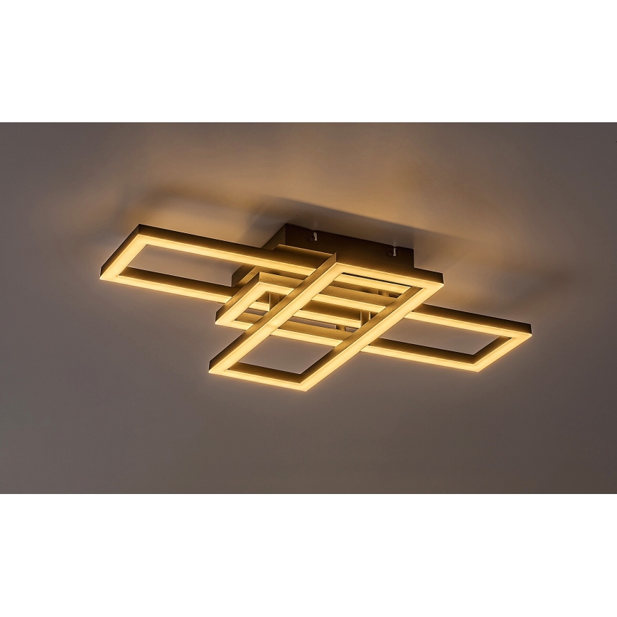 Rabalux - LED Dimmable ceiling light LED/40W/230V 3000-6500K + remote control