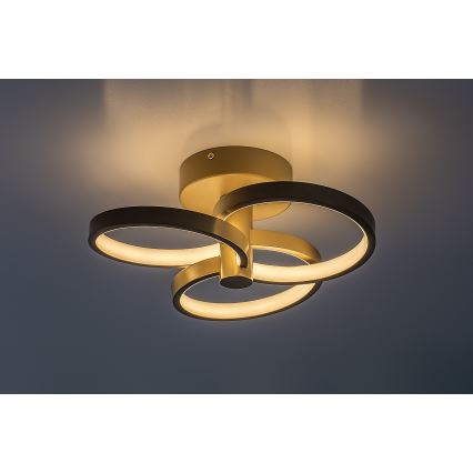 Rabalux - Dimmable LED ceiling light LED/32W/230V 3000-6500K Ø 31 cm beige + remote control