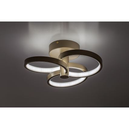 Rabalux - Dimmable LED ceiling light LED/32W/230V 3000-6500K Ø 31 cm beige + remote control