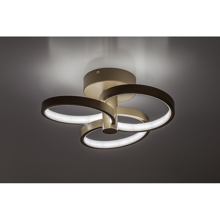 Rabalux - Dimmable LED ceiling light LED/32W/230V 3000-6500K Ø 31 cm beige + remote control
