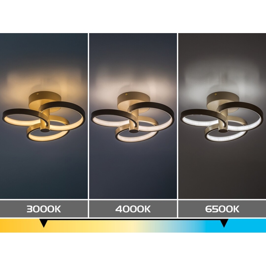 Rabalux - Dimmable LED ceiling light LED/32W/230V 3000-6500K Ø 31 cm beige + remote control