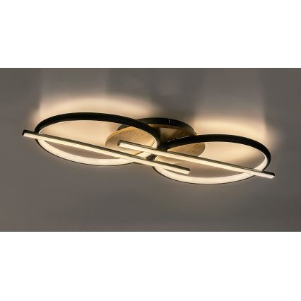 Rabalux - LED Ceiling light LED/40W/230V 3000/4000/6500K